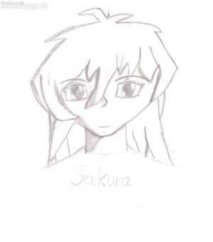 Sakura Bakura.....(my ff)