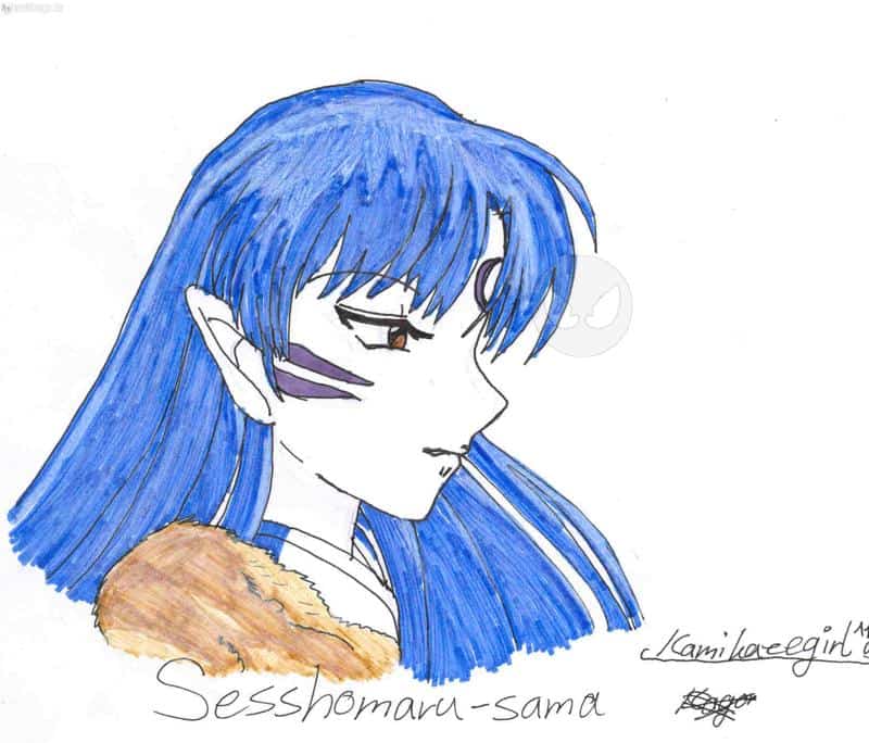 Sesshomaru-sama! (oder auch: mein erster sessi^^) in Farbe...
