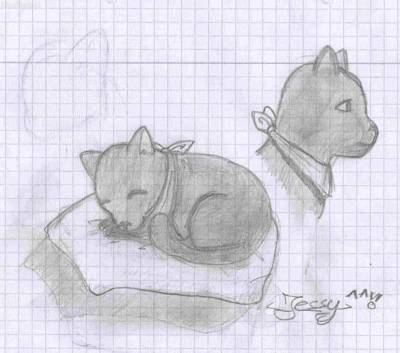 irgendein Katzenviech (für kago, ma-chan, mitsu-chan, farina,und meine ganzen andren freunde hier^^)