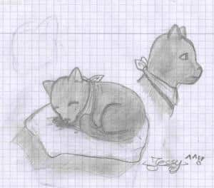 irgendein Katzenviech (für kago, ma-chan, mitsu-chan, farina,und meine ganzen andren freunde hier^^)