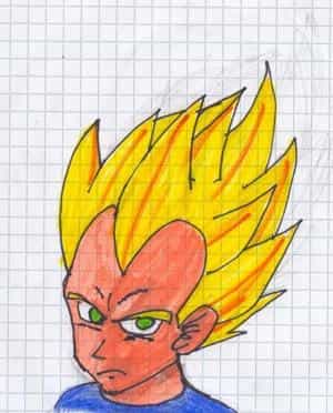 Filzer- Vegi^^" (ssj)