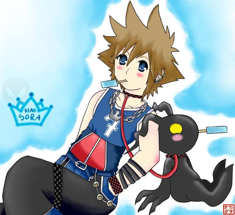 KiNg SoRa für schaniagreet (X_X))