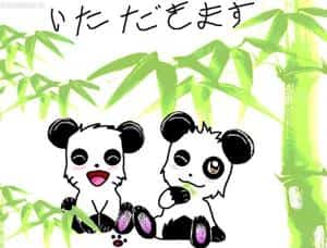 panda chans