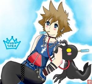 KiNg SoRa für schaniagreet (X_X))