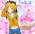 Saku chan (freund von kauogra)