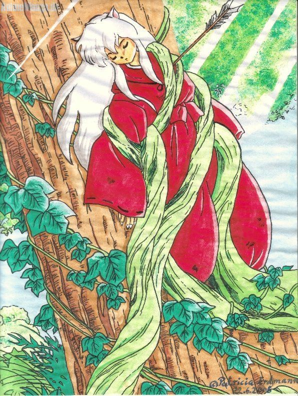 Inu Yasha After 50 Years