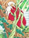 Inu Yasha After 50 Years