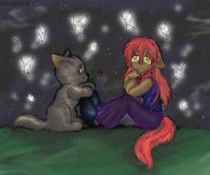 the sky at the night