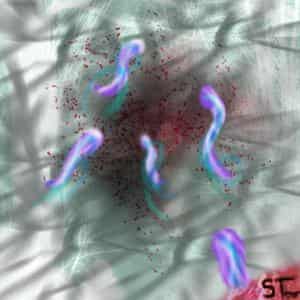 Verlorene Seelen {Verderben}