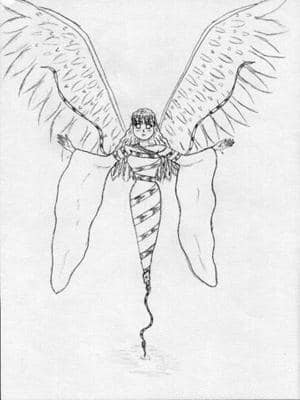 Flaschenflügelgeist *g*