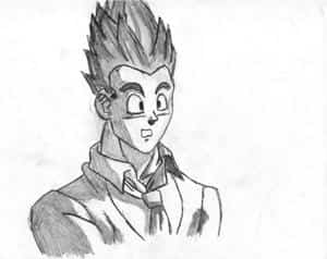 Gohan s/w