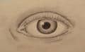 real eye