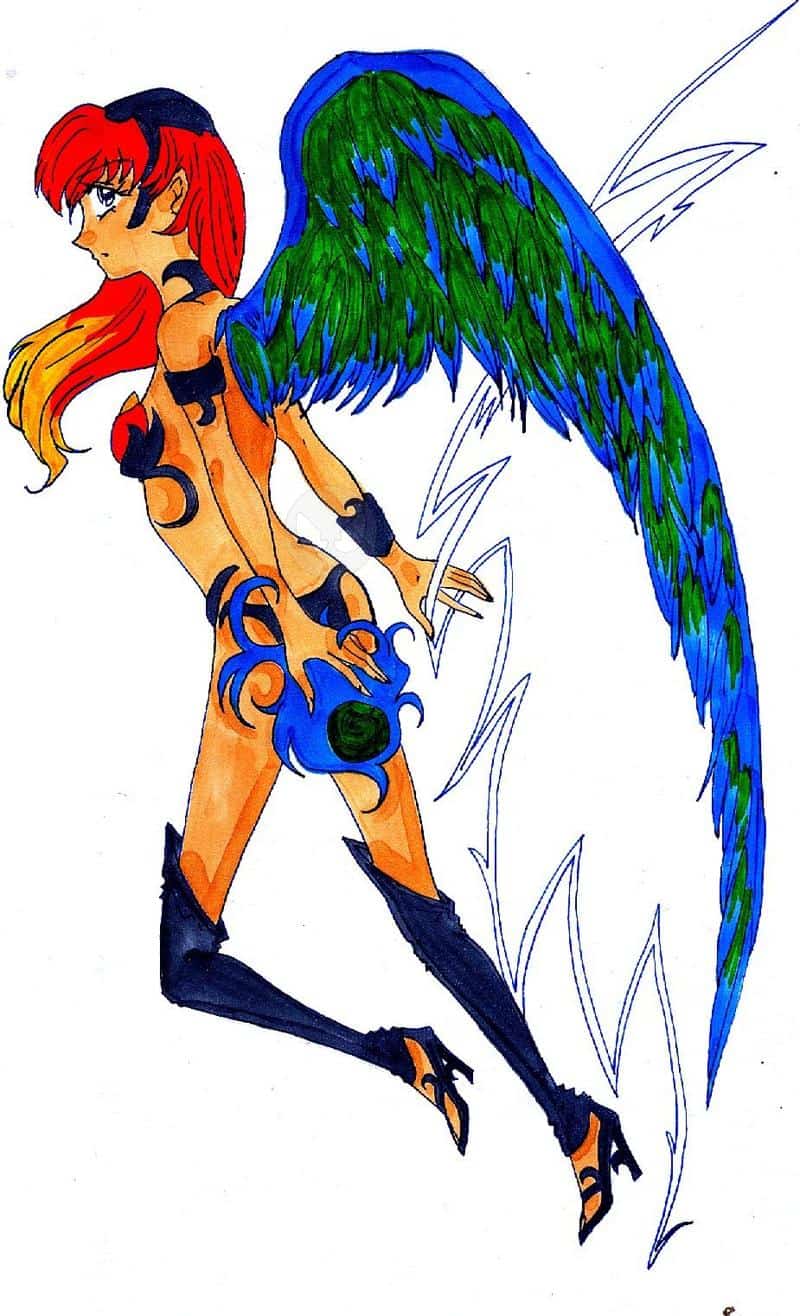 One Wing Colo ("Paradiesvogel")