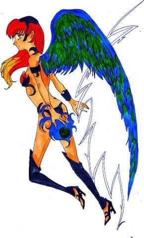 One Wing Colo ("Paradiesvogel")