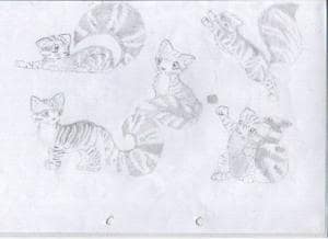 nochmal charly mappe