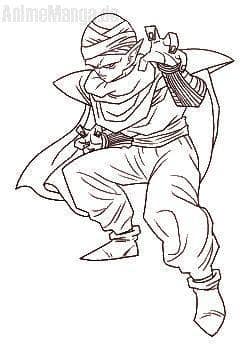 piccolo