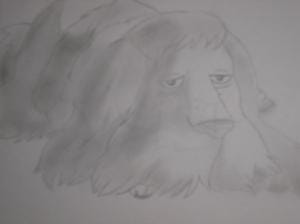 der hund aus "das wandelnde schloss"