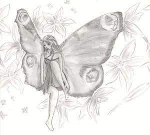 Butterfly2