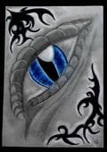 ~DragonsEye~