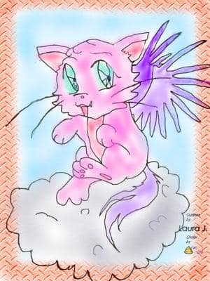 Kitty Kitty Kitte Kat