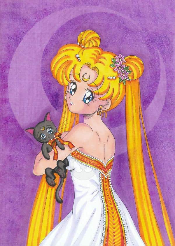 Sailor Moon Artbook 6