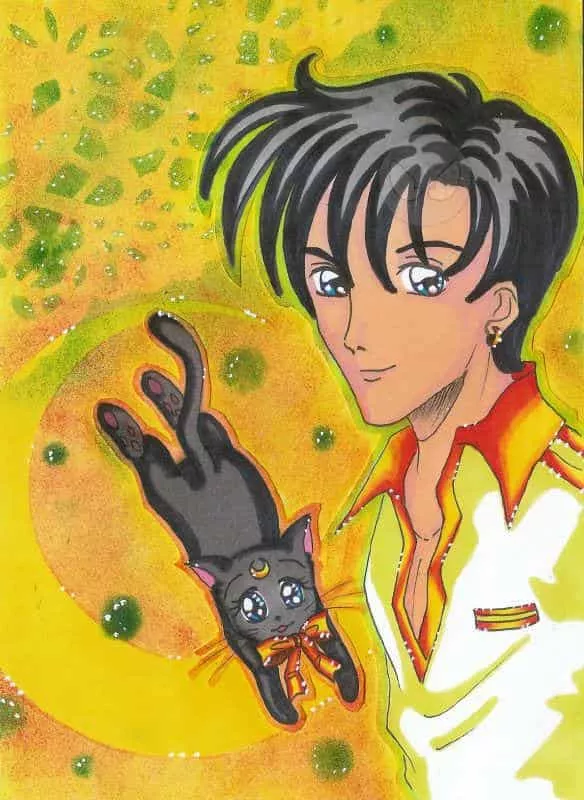 Sailor Moon Artbook 11