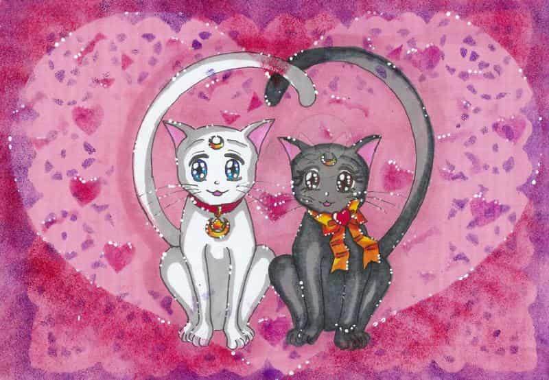 Sailor Moon Artbook 20