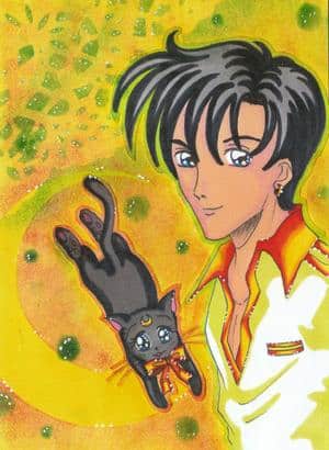 Sailor Moon Artbook 11