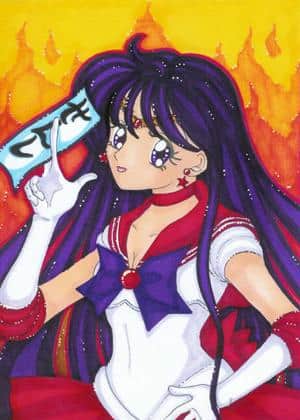 Sailor Moon Artbook 17