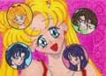 Sailor Moon Artbook 5