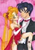 Sailor Moon Artbook 13