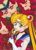 Sailor Moon Artbook 14