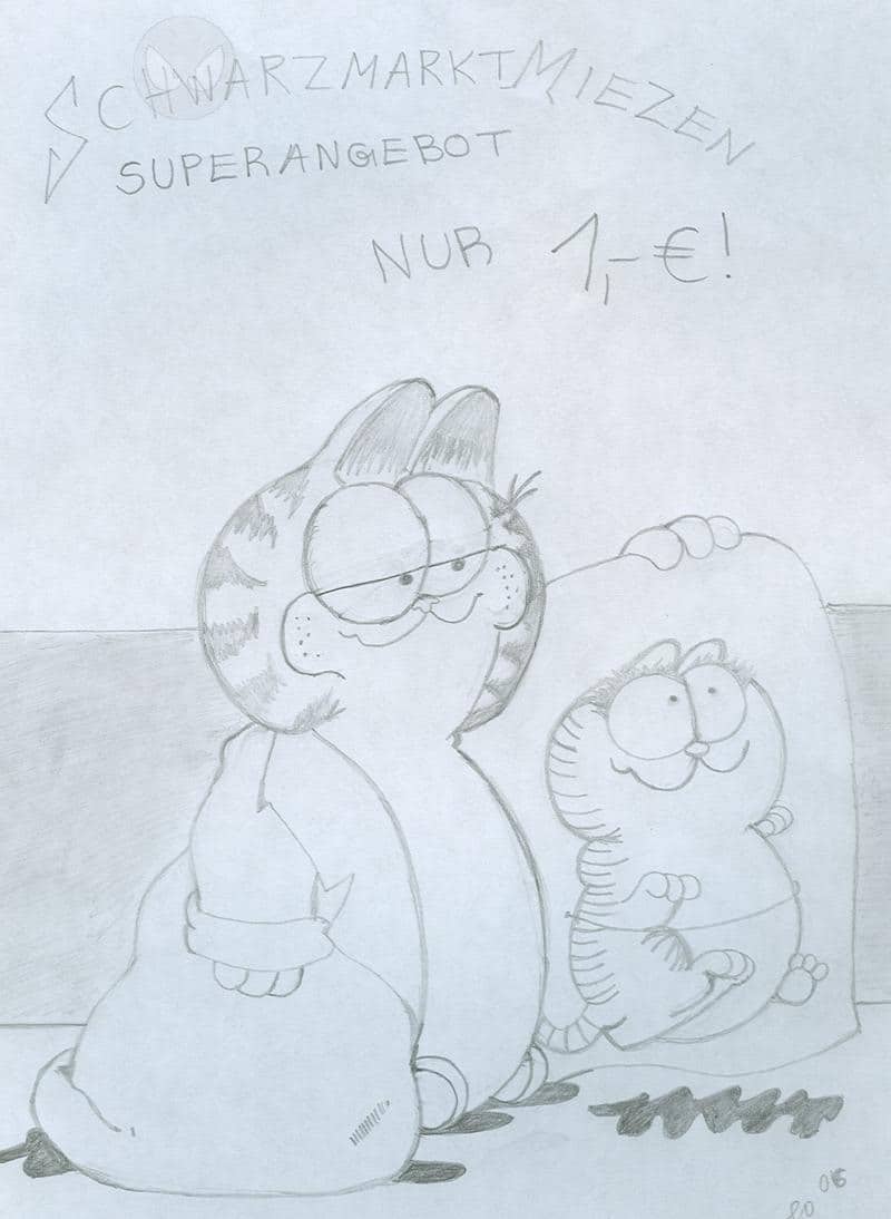 Günstige Schwarzmarkt Miezen zu verkaufen!!!