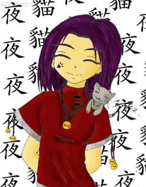 night cat