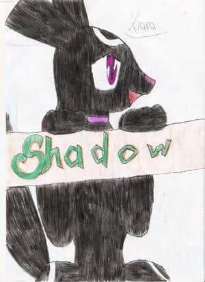 Shadow