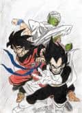 Goku,Vegeta und Piccolo