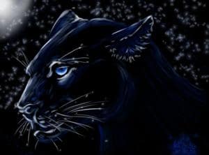 Blue Panther