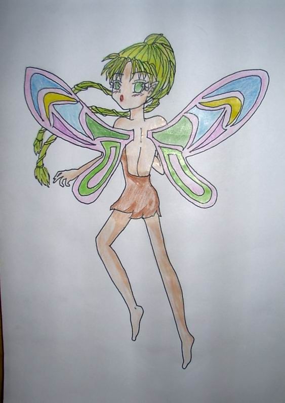 schmetterlings- elfe