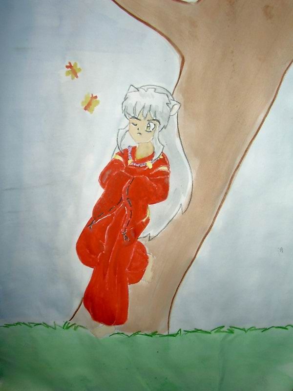 die colo von "inu am baum"