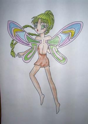 schmetterlings- elfe