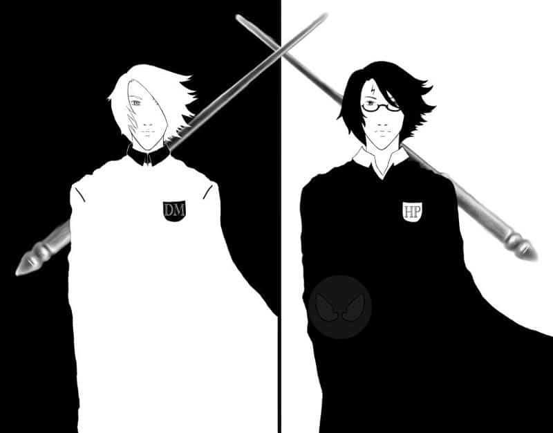 Black and White Harry/Draco