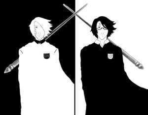 Black and White Harry/Draco