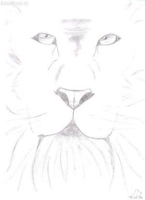 Aslan