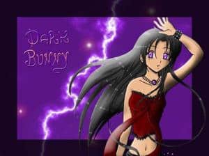 DarkBunny Titelbild Blitz