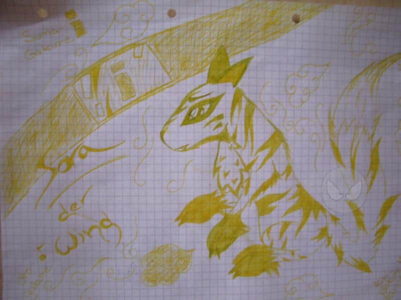 Sora, die Katze der Wüste