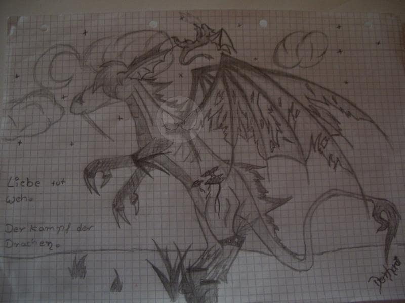 Der Kampf der Drachen