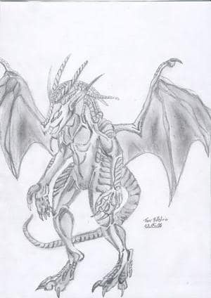 black Dragon