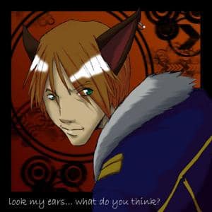 Katzen ohren oder hunde ohren