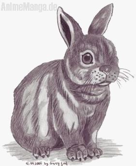 Kaninchen - für julein