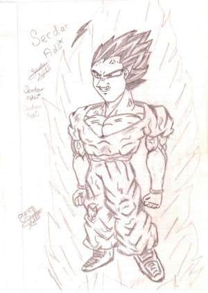 Vegeta Fake^^